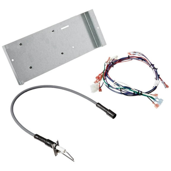 Hayward Ignition Module for H-Series Above-Ground Pool Heaters | IDXMOD1930