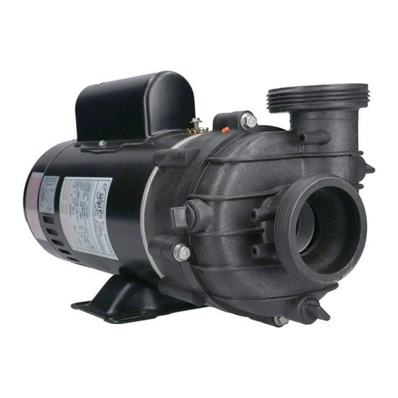 Balboa 10-4239113 2 in. 115V 2HP 2-Speed 13A-3.7A Dura Jet BWG Pump