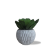thumbnail image 1 of Planta Artificial JARDECO D-KOMANIA Planta Artificial, 1 of 1