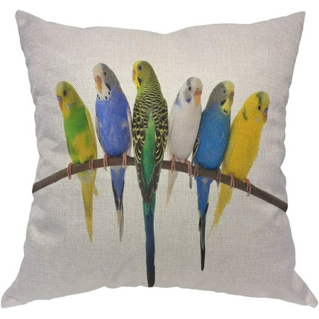 Bird 18×18 Inch Pillow Case Colorful Budgerigars Australian Parakeets Throw Pillow Cover Decorative Square Cushion Linen Canvas for Women Men Sofa Bed