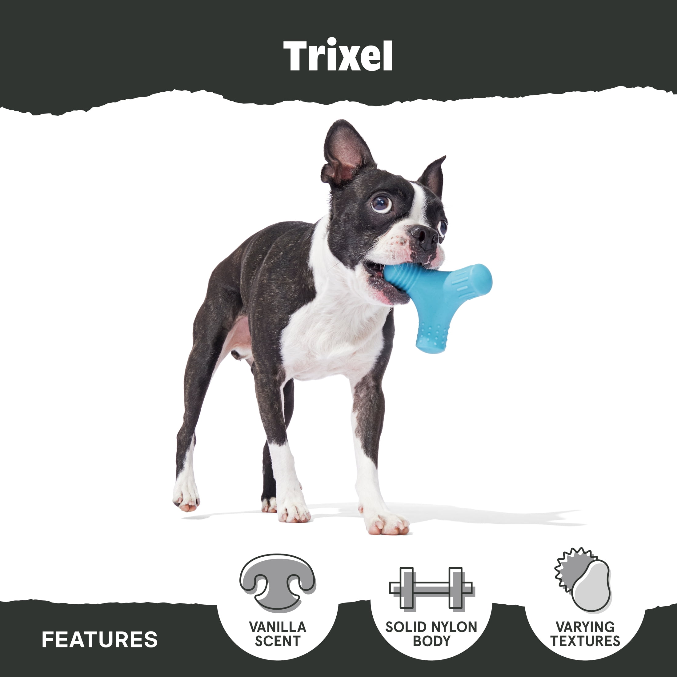 Trixel Durable Chewable Dog Toy with Built-in Squeaker