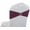 Eggplant, variant on MDS Pack of 10 Spandex Chair Sashes Bow Ties With Buckle for Wedding - sea green