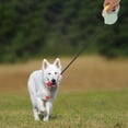 thumbnail image 1 of unbranded Correa Para Perro Retráctil Con Automático Para Y Cómodo, 1 of 8