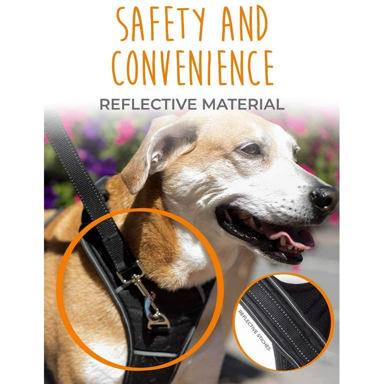 Front attachment cheap dog harness