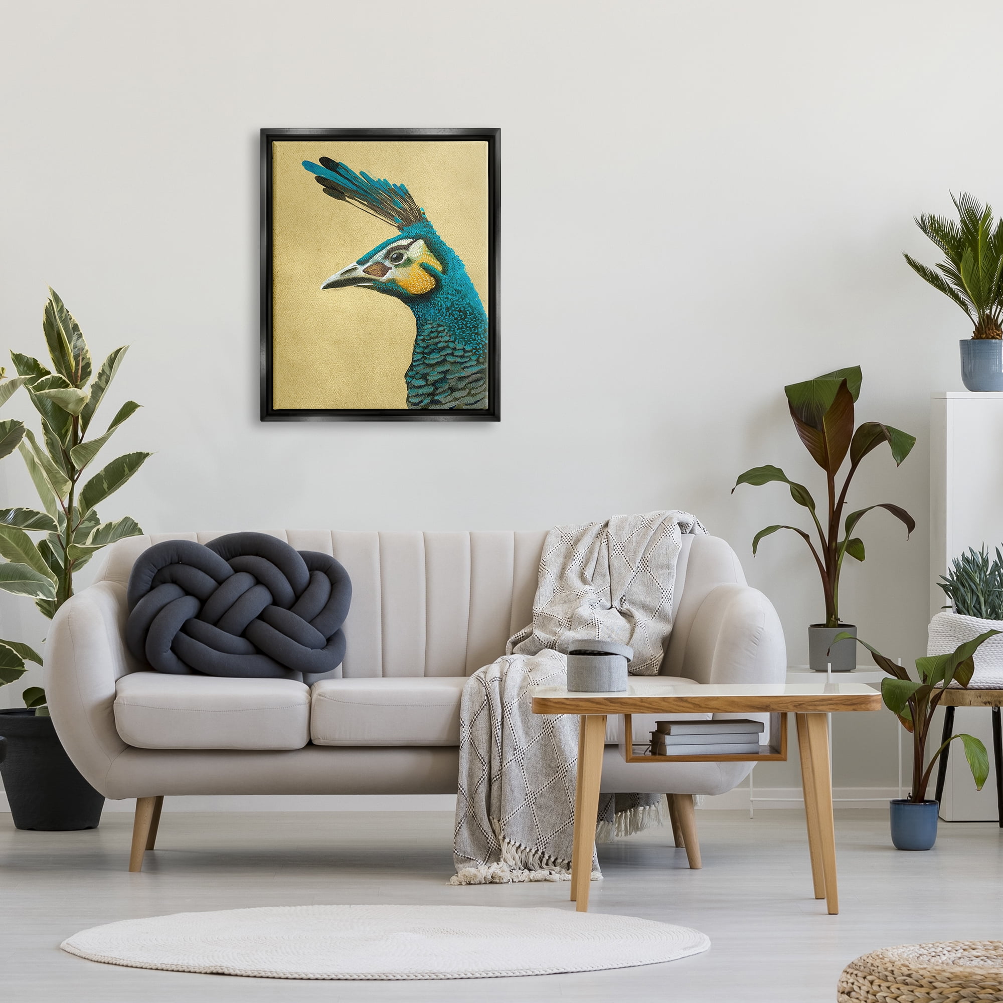 Stupell Industries Peacock Looking Left Animals & Insects Painting Black Floater Framed Canvas Art Print Wall Art, 25 x 31