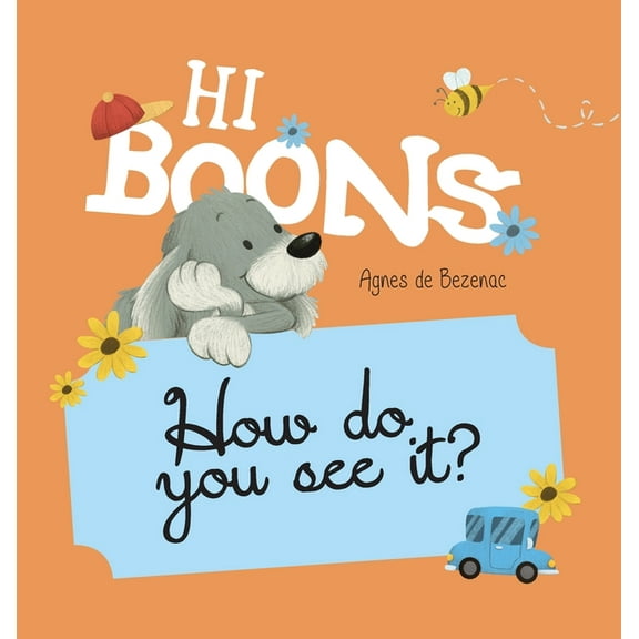Hi Boons - How Do You See It?, (Hardcover)