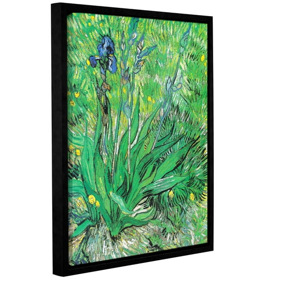 The Iris Gallery Wrapped Floater-framed Canvas