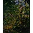 thumbnail image 2 of Abbott Handerson Thayer 20x24 Gold Ornate Framed and Double Matted Museum Art Print Titled - Peacock in the Woods, Study for Book Concealing Coloration in the Animal Kingdom (1907), 2 of 4