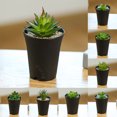 thumbnail image 3 of Gwong Decoración hogareña 1 Set Simulation Bonsai Anti-Fading Aftiles a prueba de golpes Faux Suculenta Plantas Potted Decoración de escritorio Gwong 21082696, 3 of 6