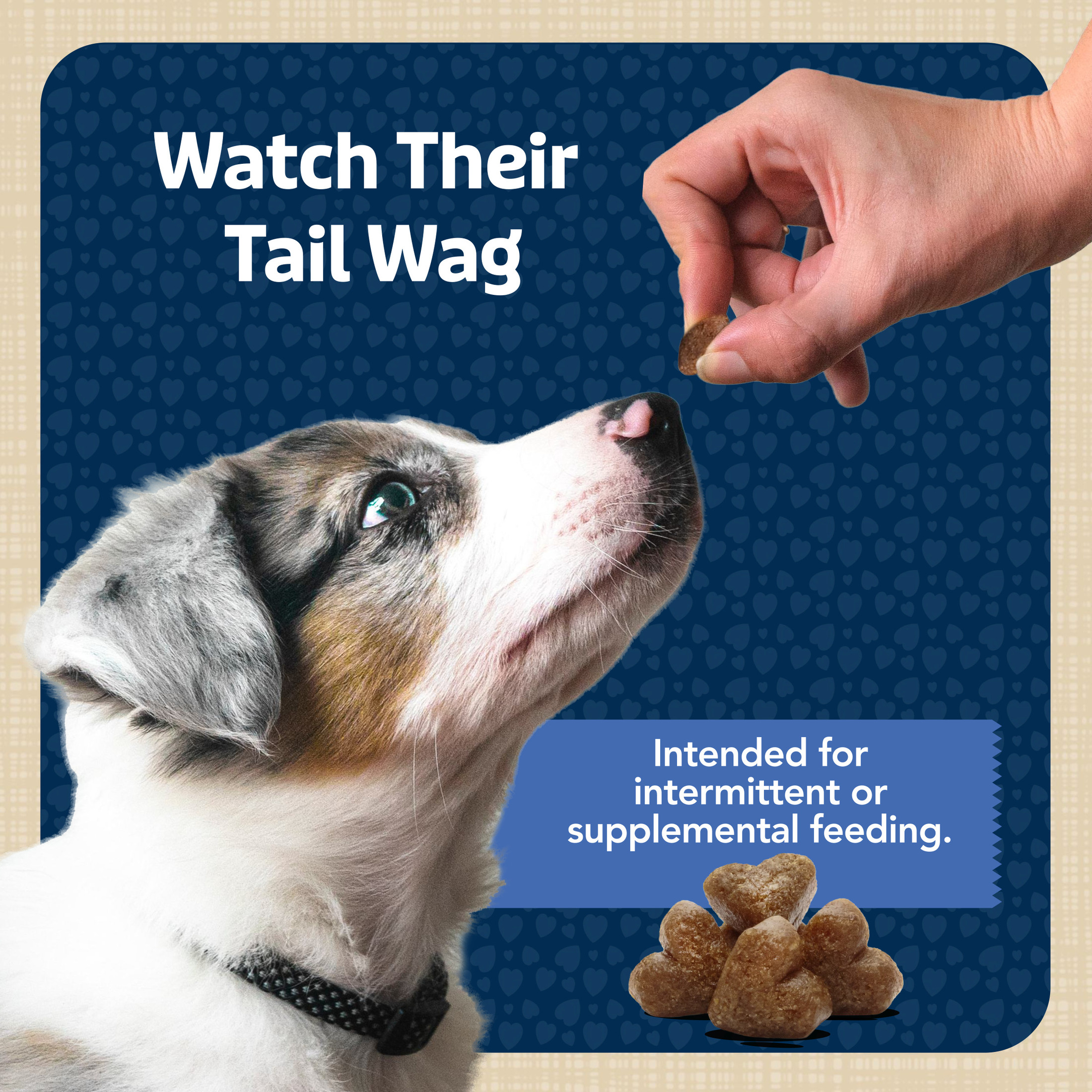 Blue Buffalo Bits Soft Dog Training Treats with DHA, 19-Oz Bag photo 8