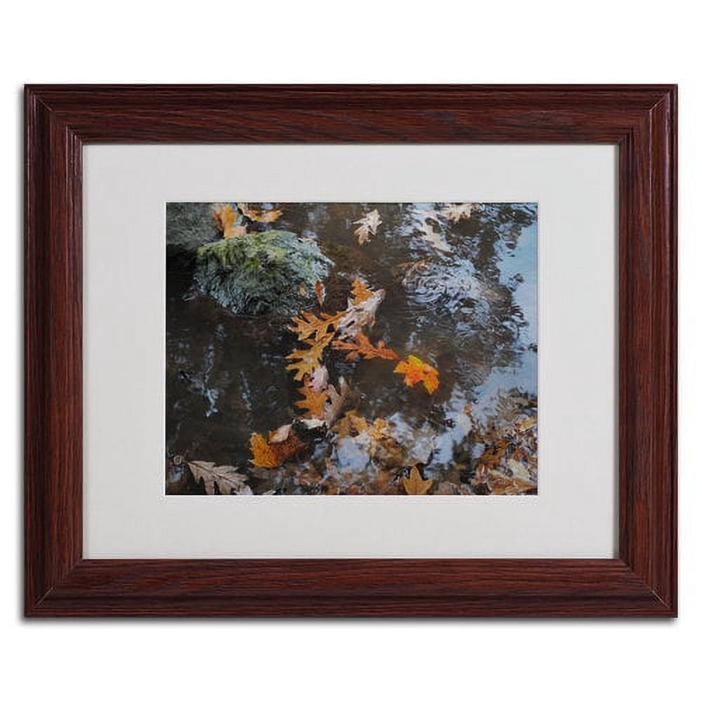 Trademark Fine Art "Buoyant" by Monica Fleet, Wood Frame