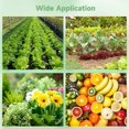 thumbnail image 5 of 50 bolsas de plástico para vivero, bolsas de cultivo de flores de frutas, contenedores de plantas cuadrados altos, macetas de inicio de flores, maceteros suculentos con agujeros de drenaje para jardín, 5 of 5