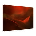 thumbnail image 4 of Heidi Westum 'The Red Valley' Canvas Art, 4 of 4