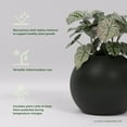 thumbnail image 2 of Greenline Nala Globe Planter - Indoor/Outdoor Large Fiberglass Lightweight Planter - 24" x 24" x 19" (Matte Black), 2 of 7