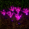 thumbnail image 4 of Mejore su patio, jardín y camino con luces solares para orquídeas para exteriores Radiant Decor (paquete de 2), 4 of 5