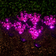 thumbnail image 4 of Mejore su patio, jardín y camino con luces solares para orquídeas para exteriores Radiant Decor (paquete de 2), 4 of 5