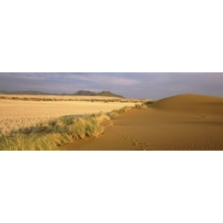 Animal tracks on the sand dunes towards the open grasslands Namibia Canvas Art - Panoramic Images (36 x