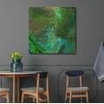 thumbnail image 4 of Luxe Metal Art 'Earth as Art: Everglades' Metal Wall Art, 36"x36", 4 of 7