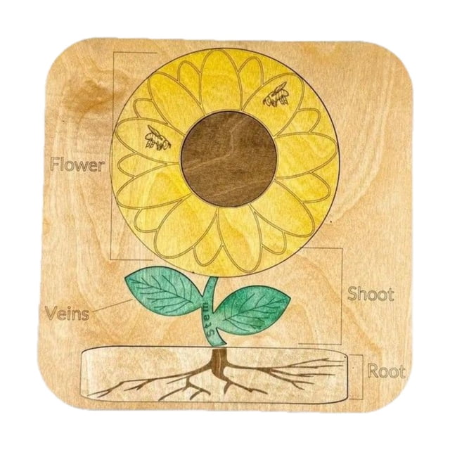 Gunfulwers de Madera -Puzzle -Form -Matching Puzzle -Matching - Del Juego Aprendizaje de La Raíz Aprendizaje de La Raíz Juguete para Colores Perc