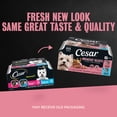 thumbnail image 4 of Cesar Loaf in Sauce Breakfast Flavors Adult Wet Dog Food Variety Pack, 3.5 oz Trays, 12 Ct., 4 of 14