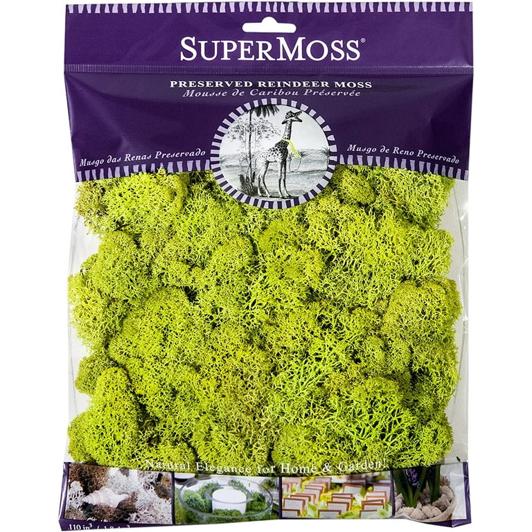 Super Moss Products Co SPM21707 SuperMoss 4oz Reindeer Moss