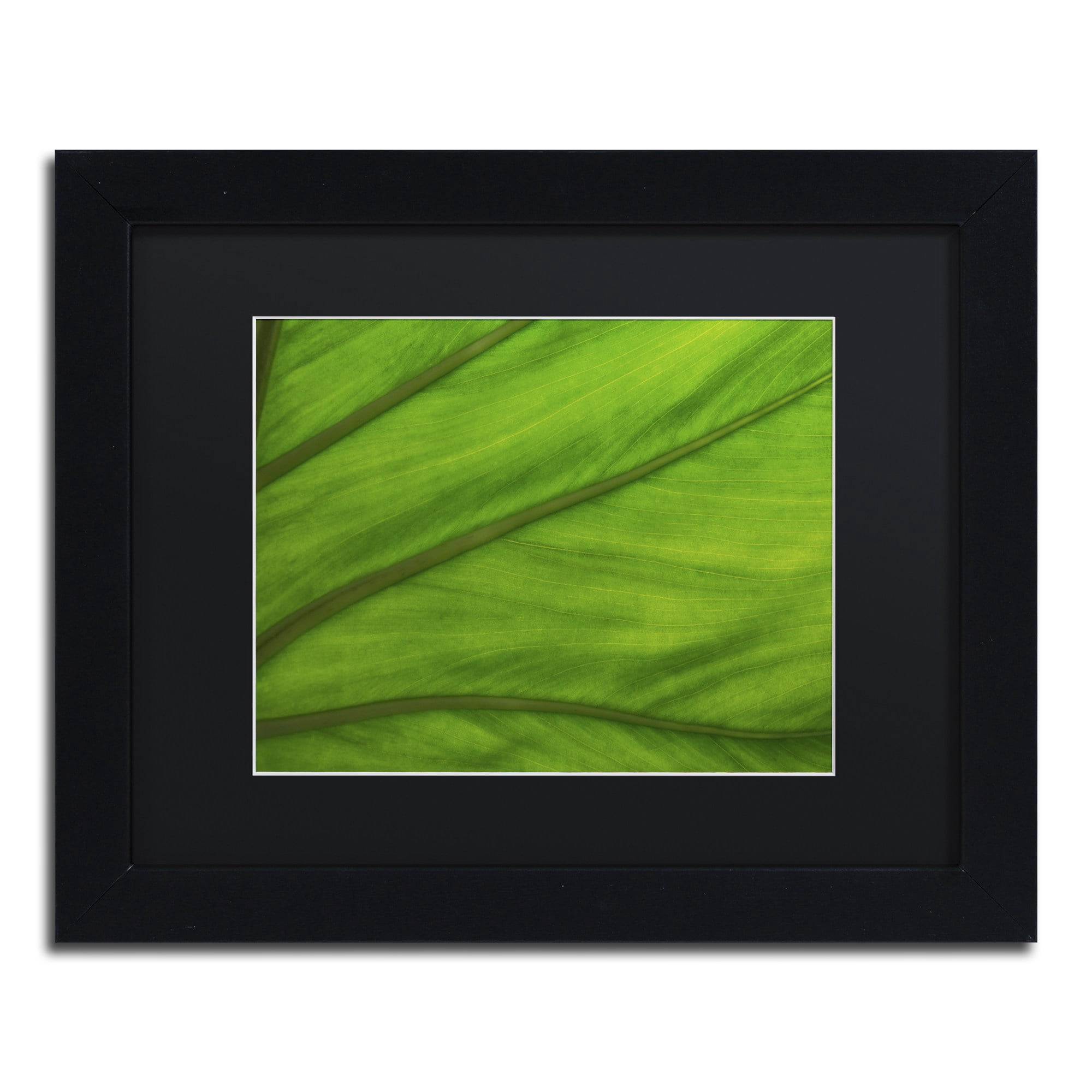 Trademark Fine Art "Green Elephant Ear Abstract" Canvas Art by Kurt Shaffer Black Matte, Black Frame