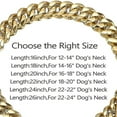 thumbnail image 5 of Pet Collars 14mm Gold Color Dog Chain Collar Choker Stainless Steel Pet Accessories Safety Training Rope, 5 of 5