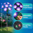 thumbnail image 6 of Rirool Solar Flower Lights Outdoor 2 Pack, Purple LED Garden Lights with 8 Lighting Modes, IP65 Waterproof Solar Garden Stake Lights Auto On/Off for Yard Patio Lawn Decoration, 6 of 8