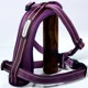 thumbnail image 1 of Pechera Dogness Chica, 1 of 2