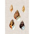 thumbnail image 3 of Vision Studio 14x18 Black Modern Framed Museum Art Print Titled - Antique Shells on Linen II, 3 of 5