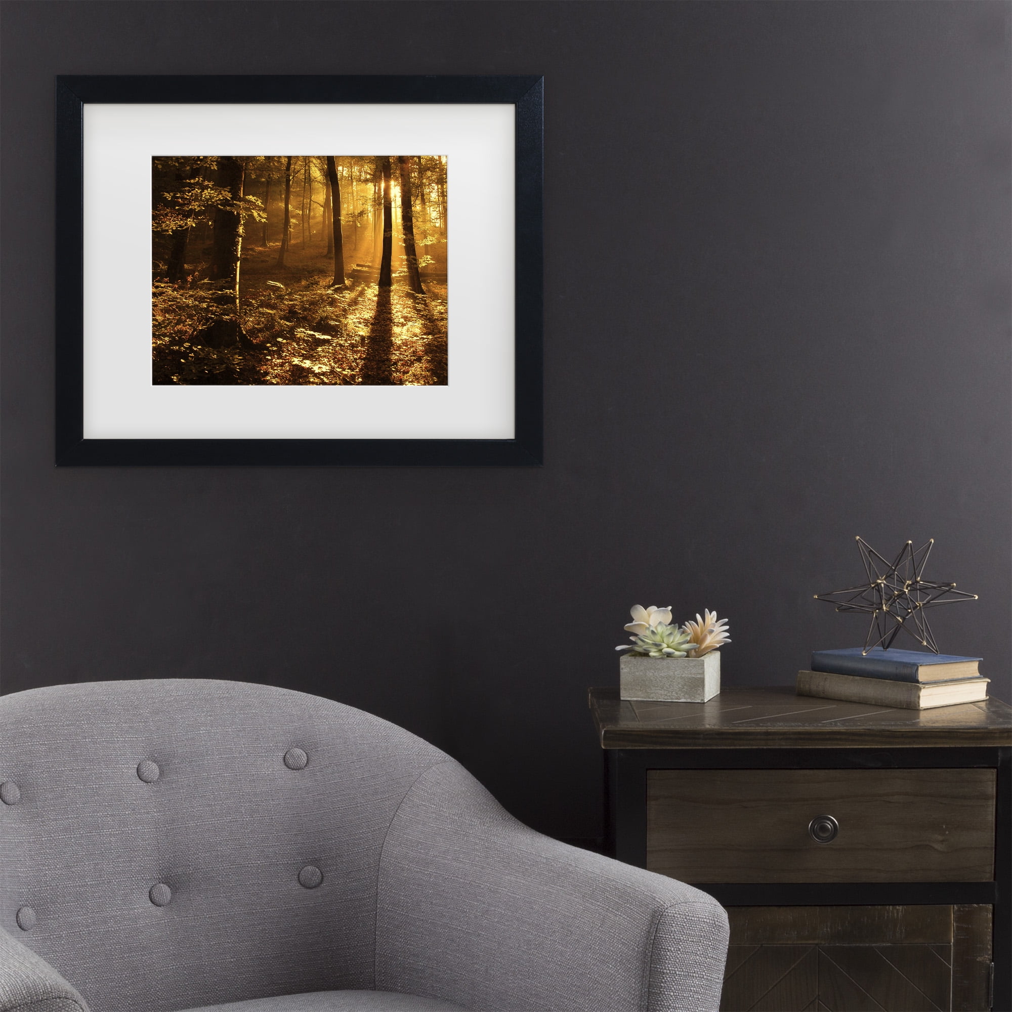 Trademark Fine Art 'Morning Light' Canvas Art by Philippe Sainte-Laudy