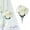 White, variant on Clearance Under $1 Artificial Carnation Pick 7-Fork Carnation Spray For Living Room Vase Filler,Plastic White (1Pc)