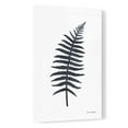 thumbnail image 2 of Epic Art 'Watercolor Black Plant I' by Seven Trees Design, Acrylic Glass Wall Art, 16"x24", 2 of 3