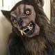 thumbnail image 2 of Gorro máscara de lobo, disfraz de hombre lobo, 2 of 8
