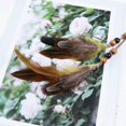 thumbnail image 5 of 100 Pcs 2-3 Inch Natural Pheasant Feathers Bulk Various Colors Natural Feather Crafts Clothing Hat Sewing Decorating, 5 of 5