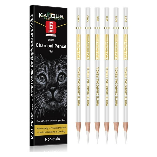 KALOUR Juego 6 lápices de carbón blanco para dibujo, boceto y sombreado