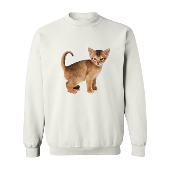 Appealing Abyssinian Kitten Sweatshirt Women -Image by Shutterstock, Female 4X-Large