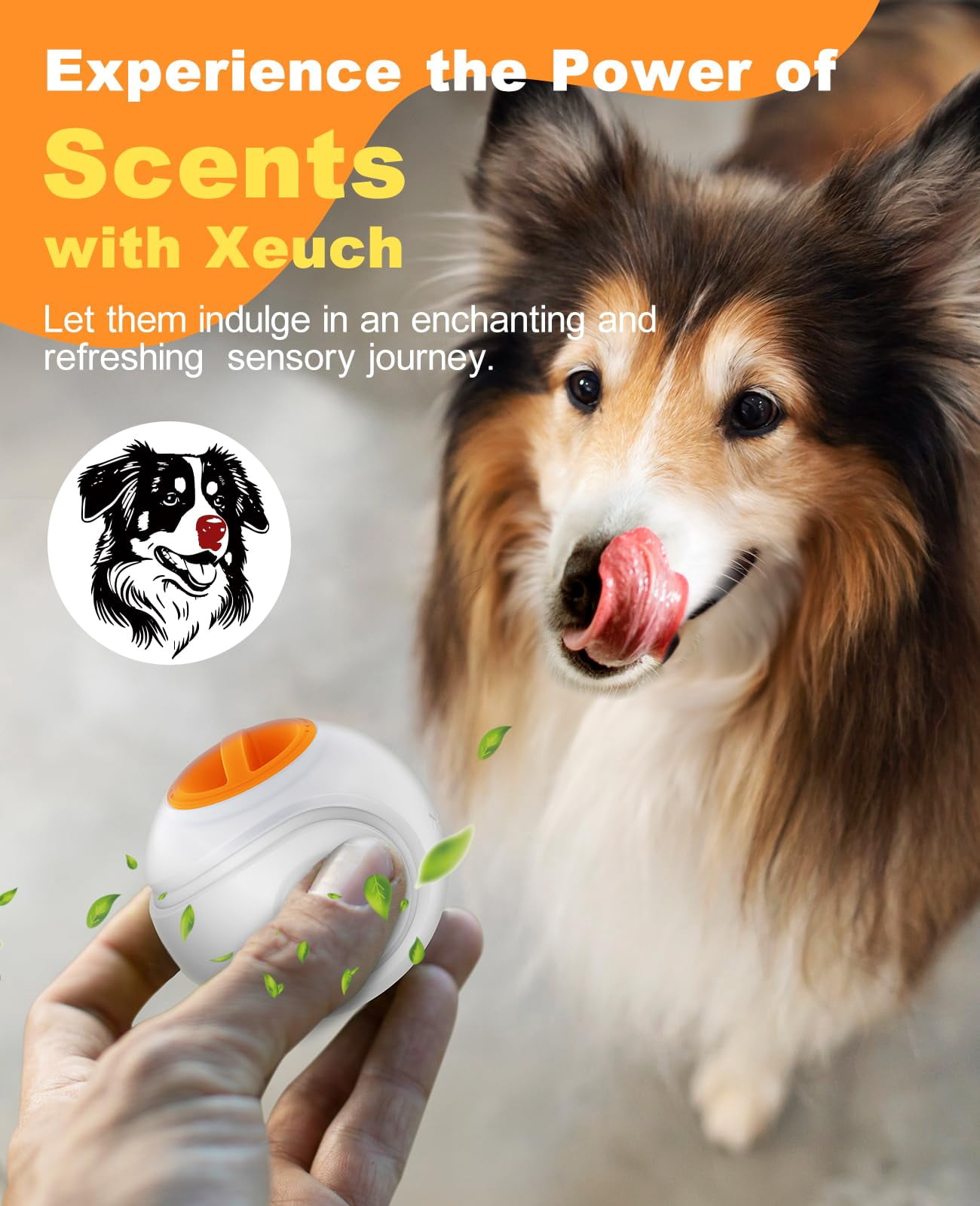 LED Light Up Dog Ball Toys, Rechargeable Bounce-Activated Durable Fetch Ball, Natural Rubber, 2.5 inches