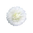 thumbnail image 2 of Advancent Flores de papel Decoraciones florales para pared Artesanía hecha a mano Doble color para decoración de fiesta de aniversario Rosa claro 25cm Artesanía Blanco Leche 25cm Advancent HA060500-19, 2 of 6