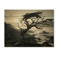 thumbnail image 3 of Designart "Beach Photo Coastal Euphony II" Nautical & Beach Print on Natural Pine Wood, 3 of 5