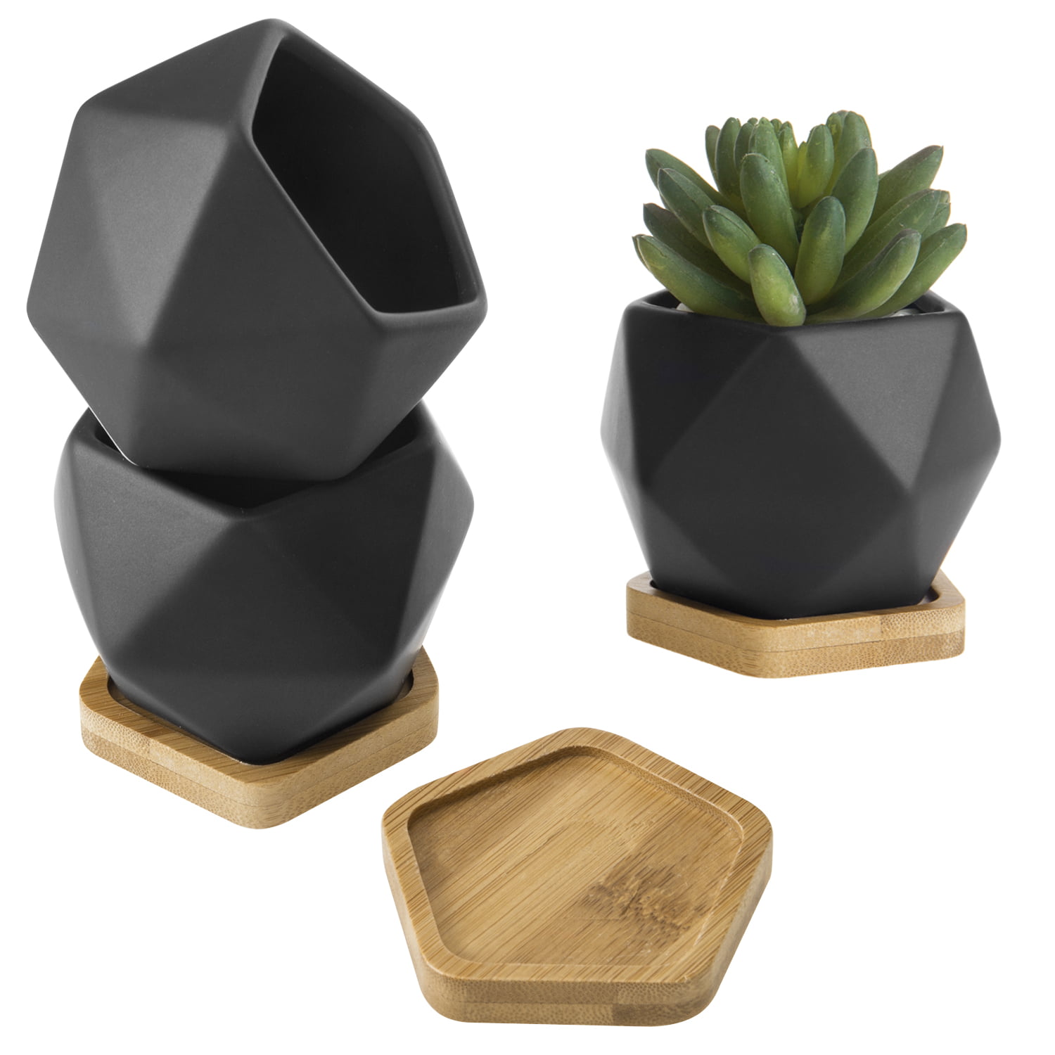 MINI Hexagon Planter Pots Set of 3