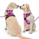 thumbnail image 2 of Arnés para perros NESTROAD, chaleco Oxford ajustable sin tirones, pequeño, 2 of 8