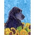 thumbnail image 1 of Carolines Treasures SS4240CHF 28 x 40 in. Cocker Spaniel Flag Canvas House Size, 1 of 4