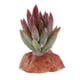 thumbnail image 2 of Plantas para acuarios, decoración de reptiles - Terrario de reptiles F, 2 of 8