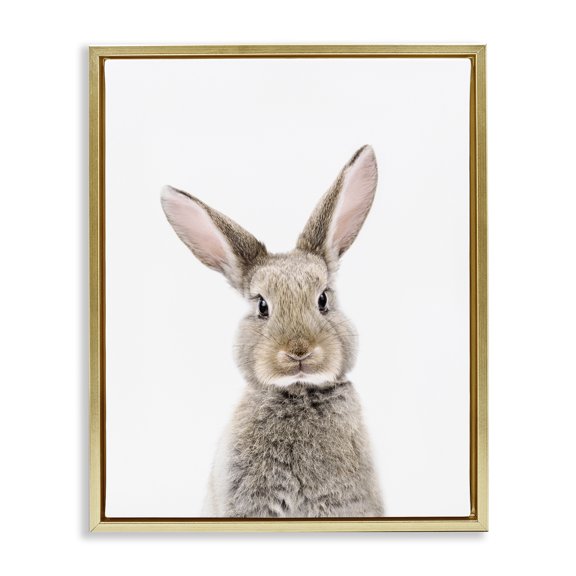 Stupell Industries Traditional Rabbit Face Portrait Gold Floating Frame Canvas Art, 17 x 21, by Sisi and Seb