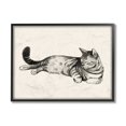 thumbnail image 4 of Stupell Industries Sleeping Striped Cat Minimal Relaxed Pet Black Framed by Grace Popp, 4 of 5