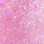Pink Mermaid Kisses