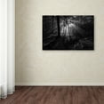thumbnail image 2 of Leif Londal 'A Sunny Morning' Canvas Art, 2 of 3
