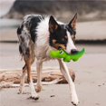 thumbnail image 2 of Latex Alligator Squeaky Dog Toys Chewers, Tough Dog Toys, 2 of 9