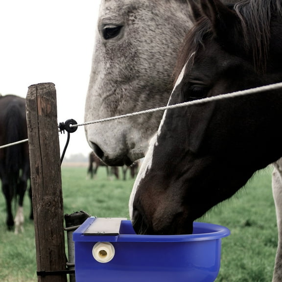 IMIKEYA Blue Plastic Automatic Waterer for Cattle Horse Sheep Livestock Drinking Bowl